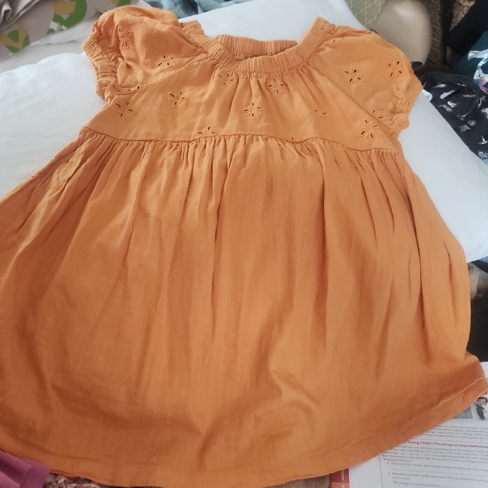 4T Old Navy Puff Sleeve Floral Eyelet Fit N Flare Orange Dress For Girls